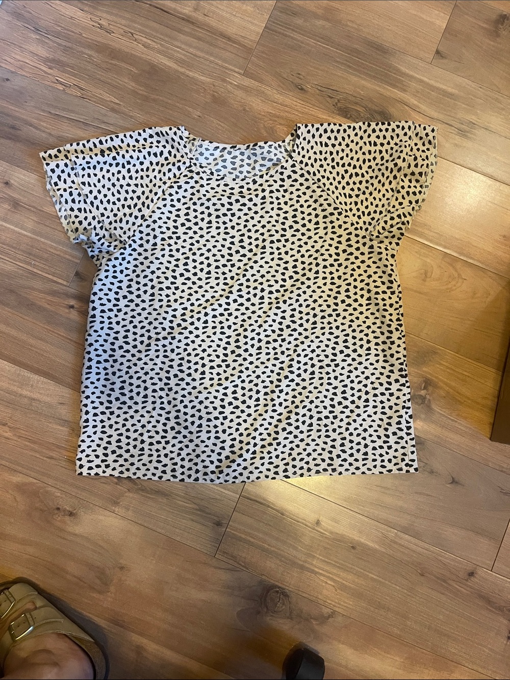 Black Dot Print Flutter Short Sleeve Top - beige Background